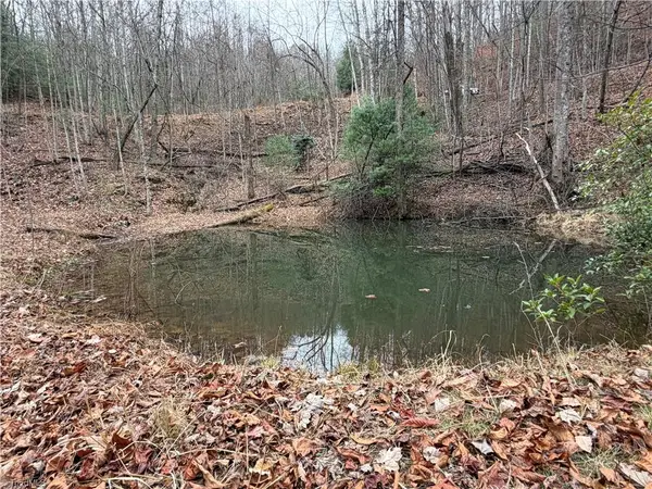 Lot 218 Casey Mountain Road, Purlear, NC 28665