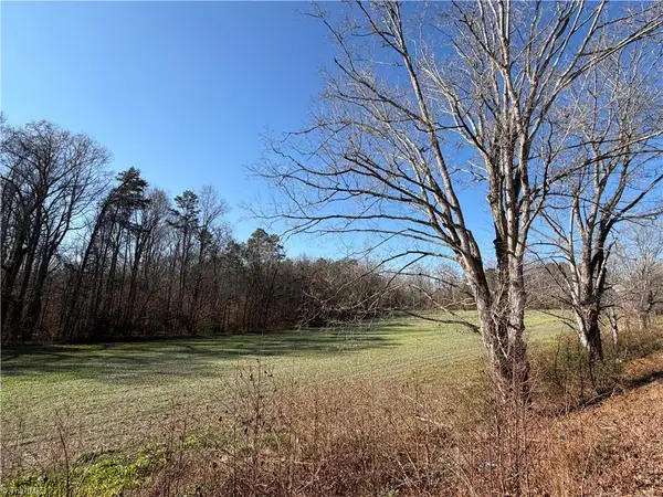 00 Conrad Road, Lewisville, NC 27023