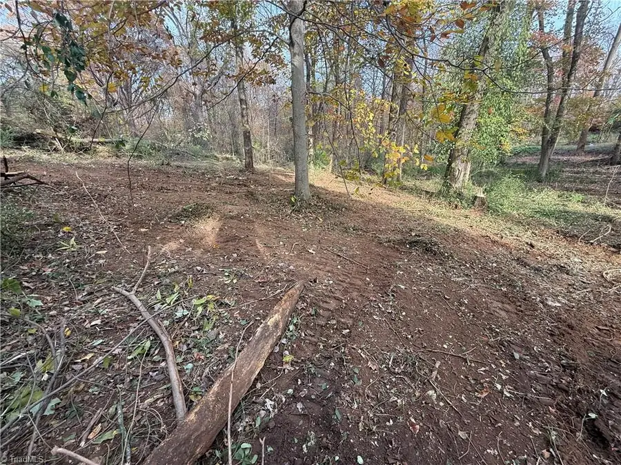 0 Lodge Street, Winston Salem, NC 27105 - Image #2