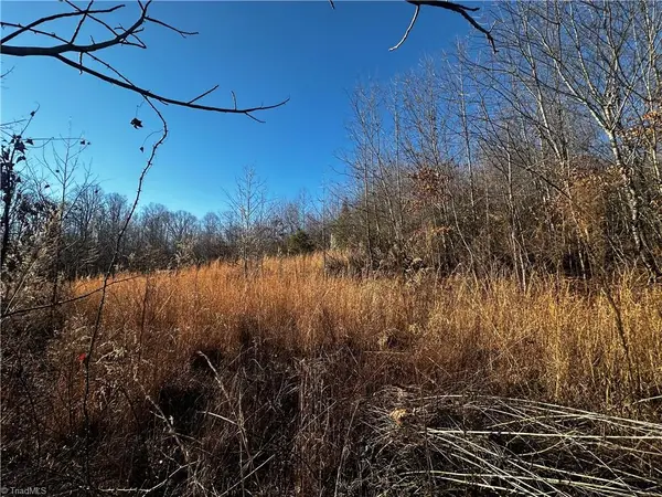 tbd S Nc Highway 16, Wilkesboro, NC 28697