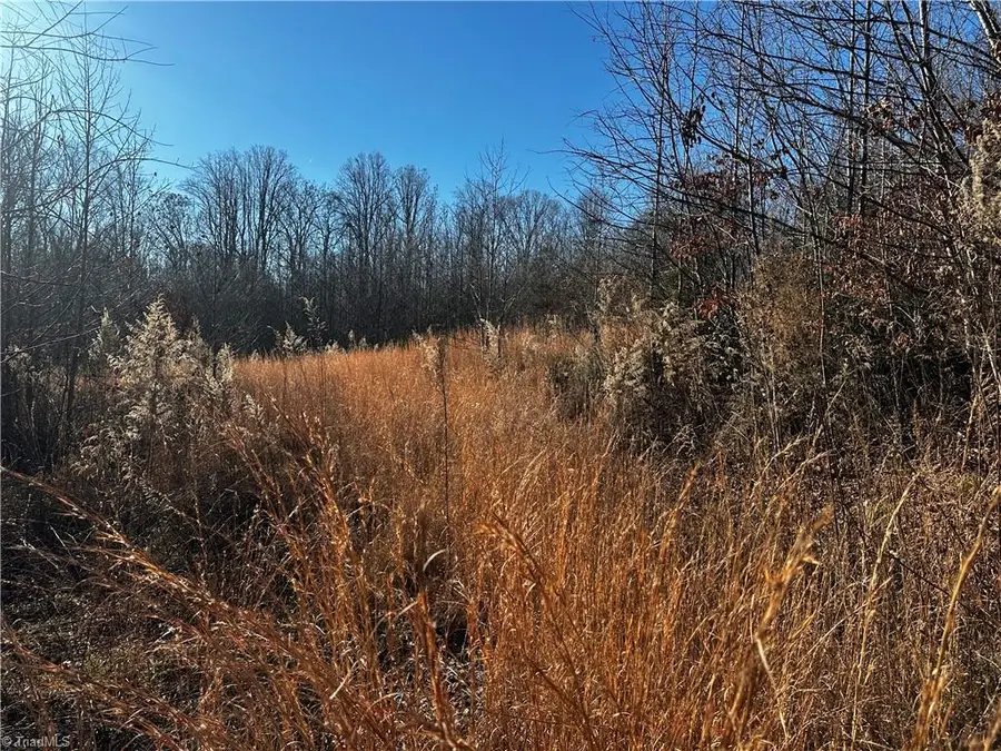 tbd S Nc Highway 16, Wilkesboro, NC 28697 - Image #2