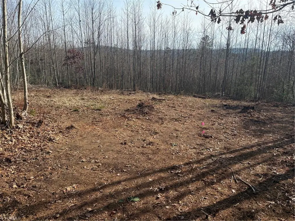 Lot 41 & 42 Billings Hill Church Road, Traphill, NC 28685 - Image #1