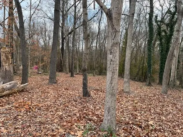 926 Greensboro Street Extension, Lexington, NC 27292