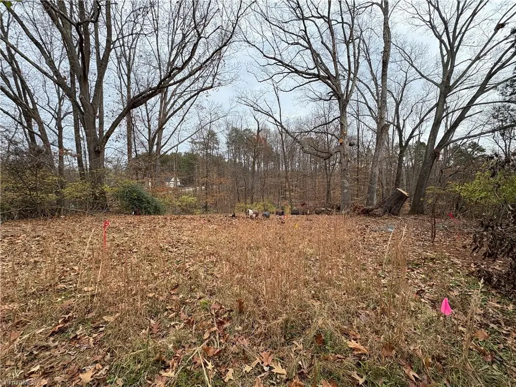 1110 Springview Drive, High Point, NC 27265 - Image #1