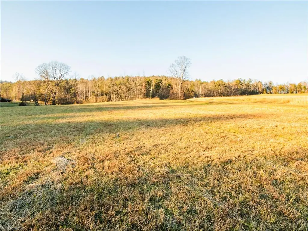 TBD Antler Drive, McGrady, NC 28649 - Image #1