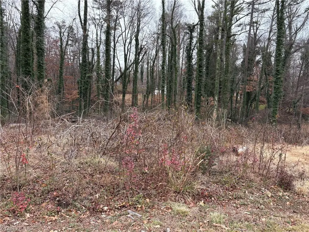 0 Chesapeake Drive, Bethania Township, NC 27054 - Image #1