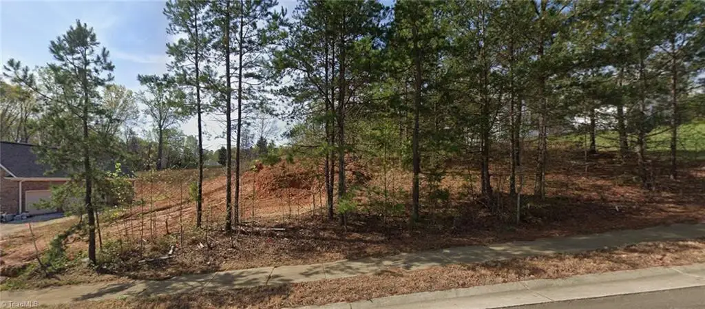 7442 Birchbend Lane #Lot 7, Lewisville, NC 27023 - Image #1