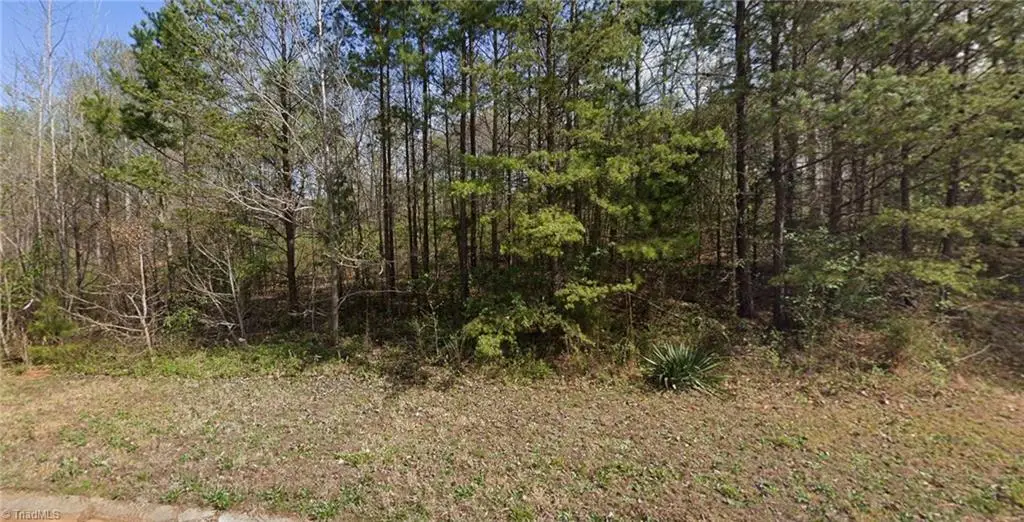 7411 Birchbend Lane #Lot 5, Lewisville, NC 27023 - Image #1