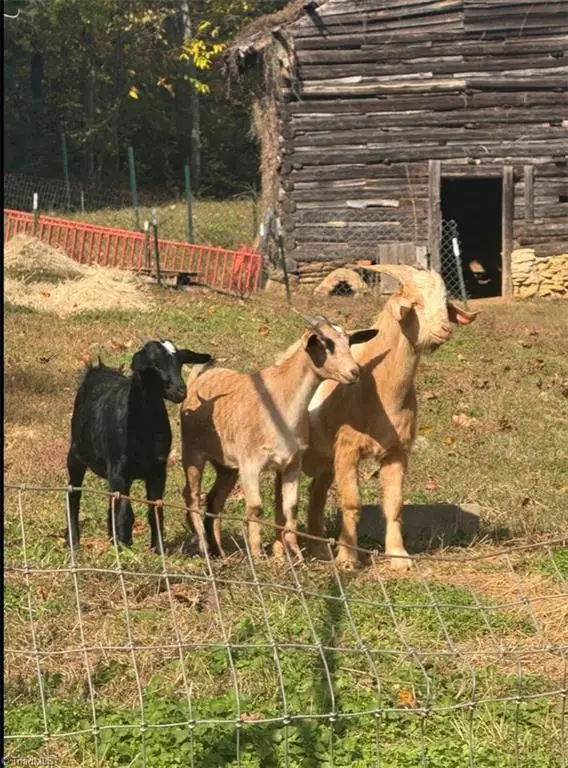 3110 Hall Road, Franklinville, NC 27248 - Image #2