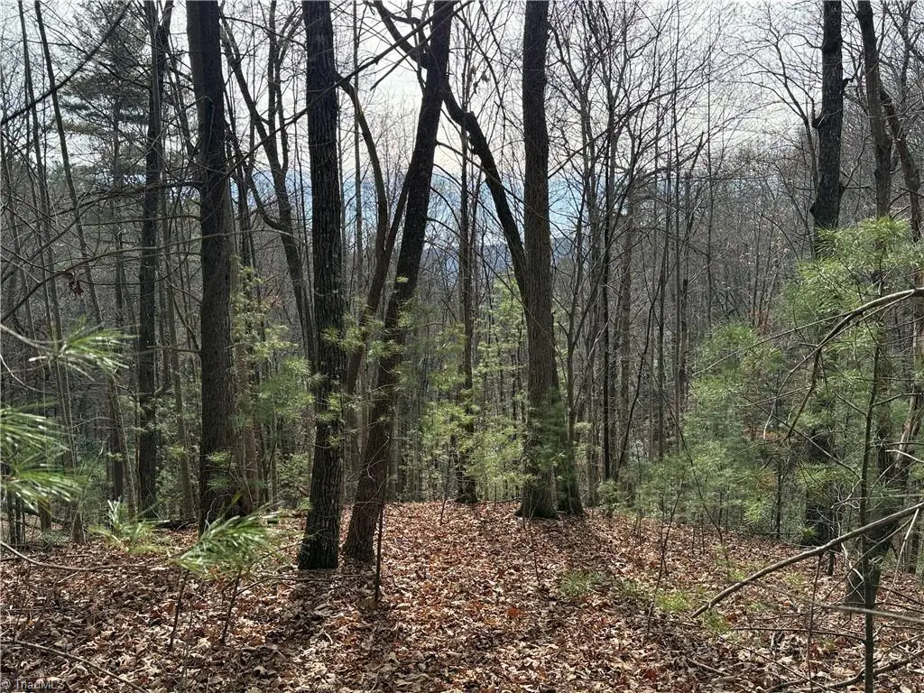 Lot 21 Buck Mountain Road, Purlear, NC 28665 - Image #1