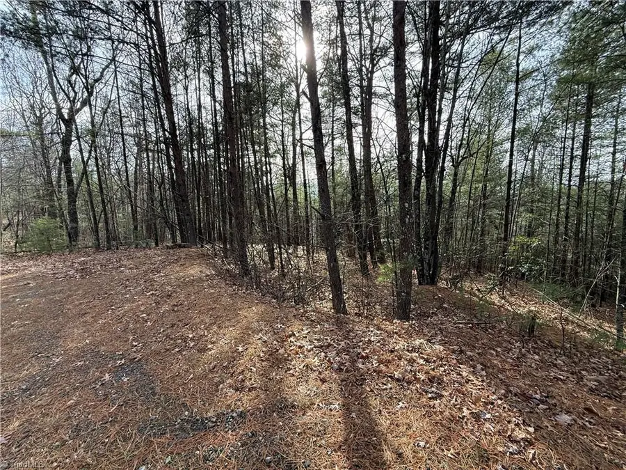 Lot 21 Buck Mountain Road, Purlear, NC 28665 - Image #3