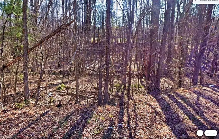 0 Gravitte Road, Roxboro, NC 27573 - Image #3