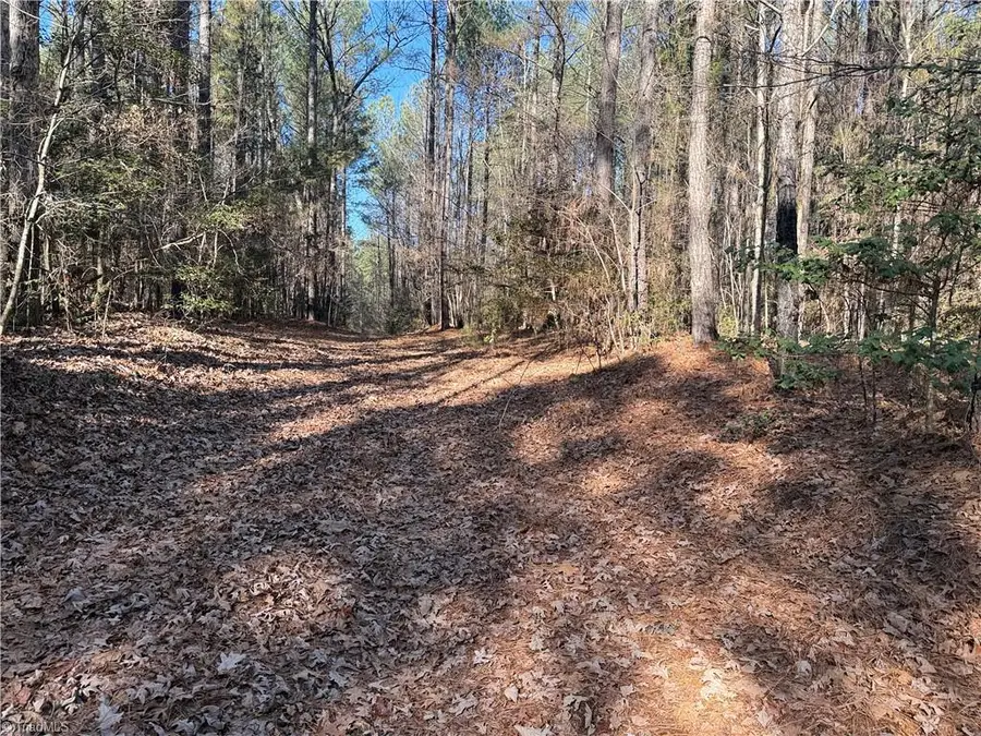 Lot 4 Woods Road, Seagrove, NC 27341 - Image #3