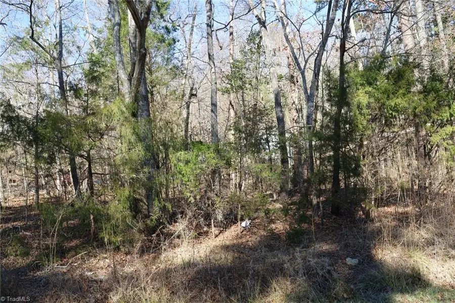 12550 Bringle Ferry Road, Richfield, NC 28137 - Image #2