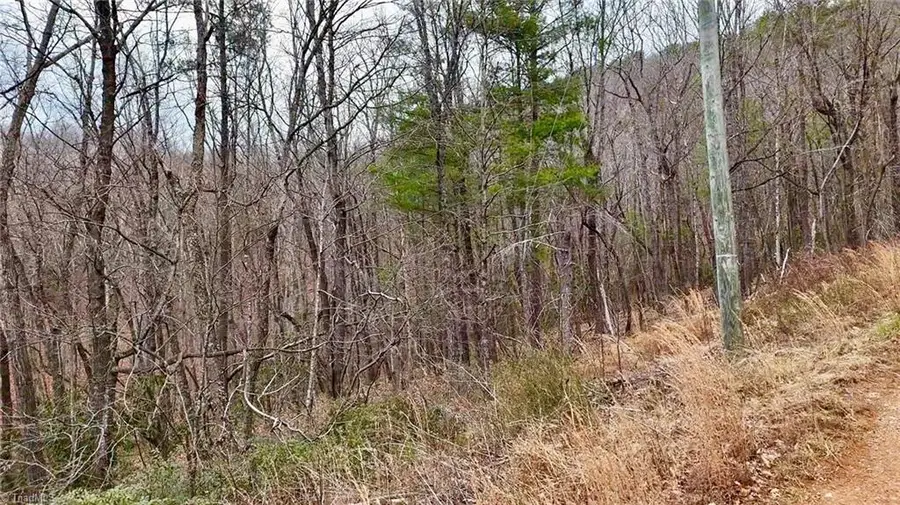 000 Big Rock Lane, Lowgap, NC 27024 - Image #3