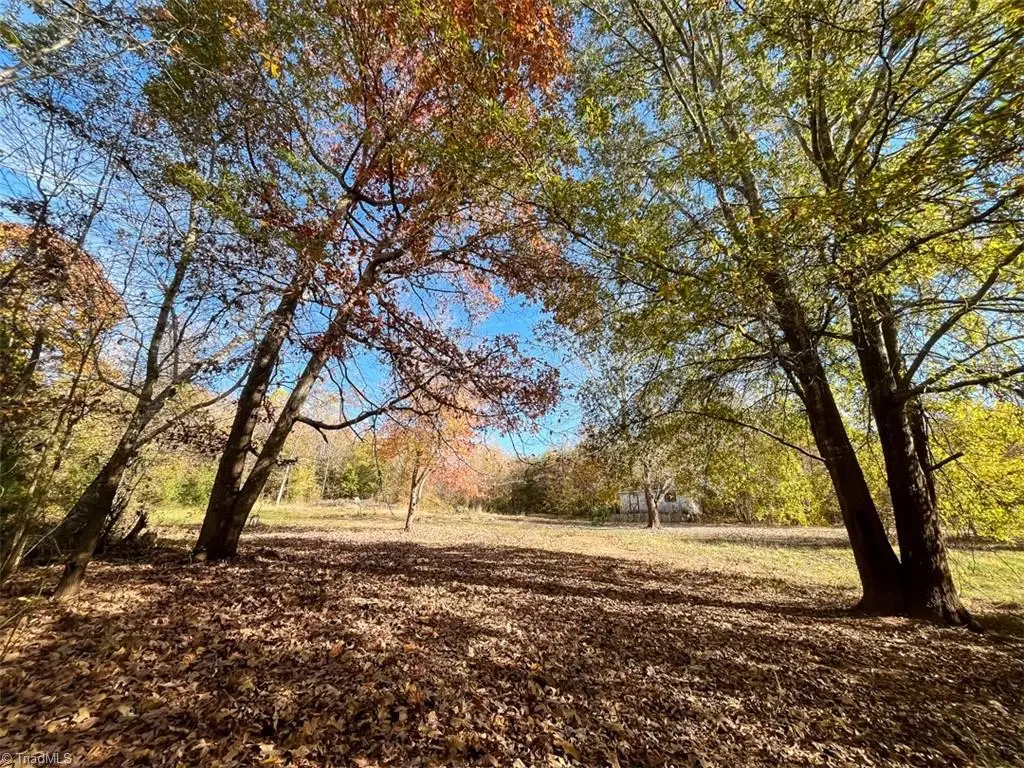 10406 Park Springs Road, Ruffin, NC 27326 - Image #1