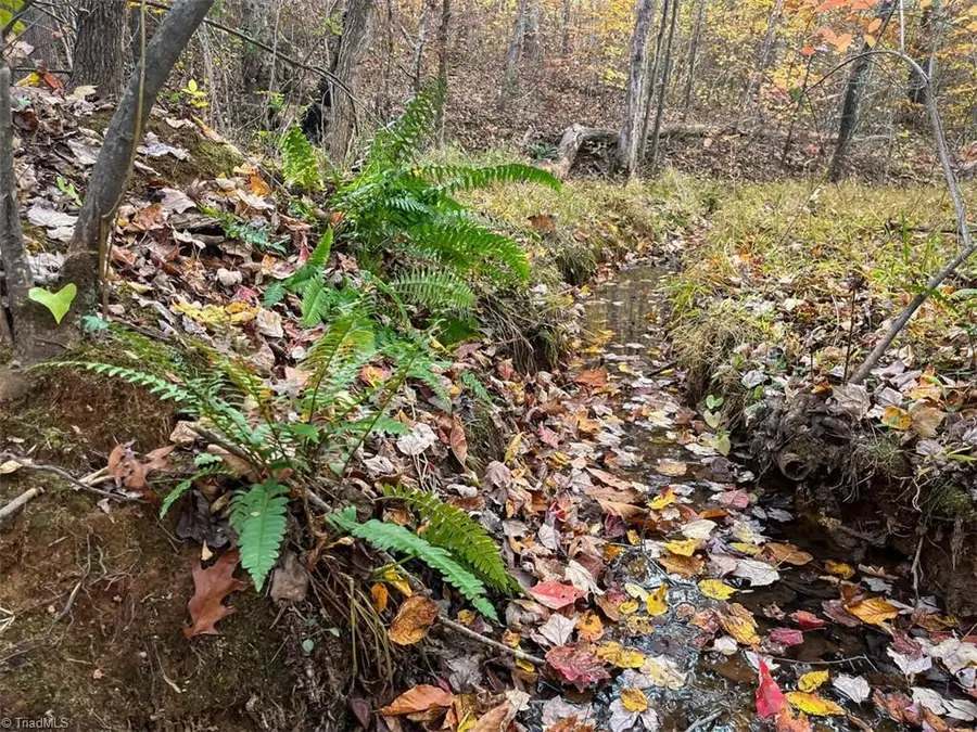 10406 Park Springs Road, Ruffin, NC 27326 - Image #3