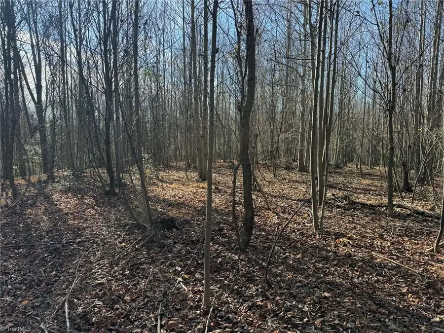 TBD Rock Creek Ch Road, North Wilkesboro, NC 28659 - Image #3