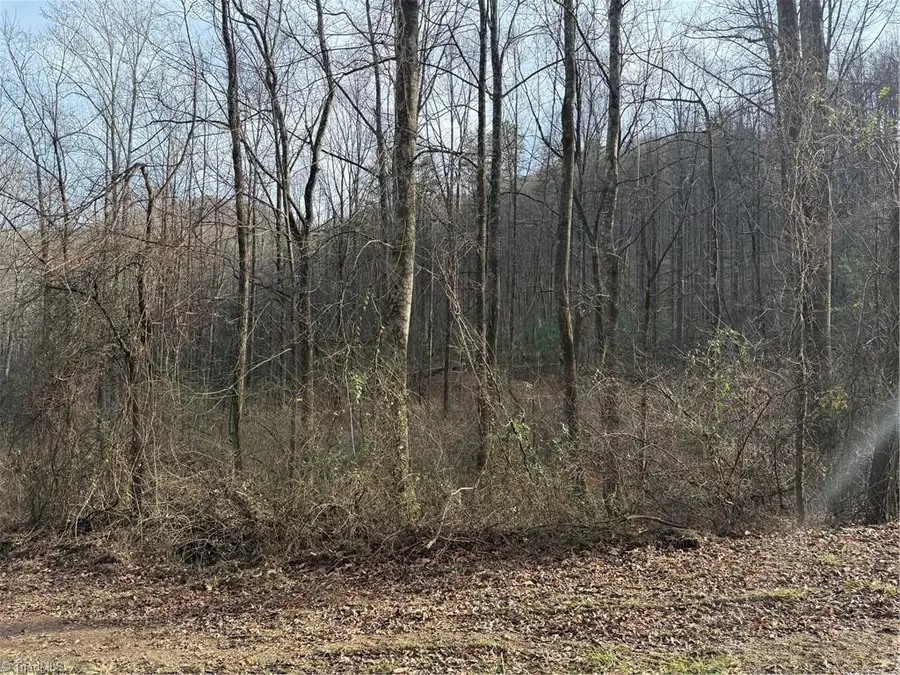 00 Longbottom Road, Walnut Grove, NC 28635 - Image #3