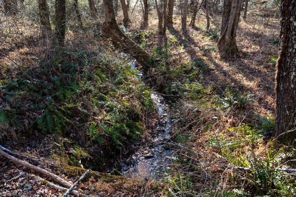 Lot 6 Morosko Lane, Pilot Mountain, NC 27041 - Image #1