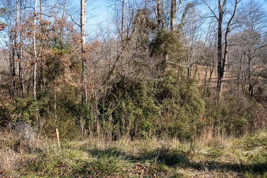 Lot 6 Morosko Lane, Pilot Mountain, NC 27041 - Image #2