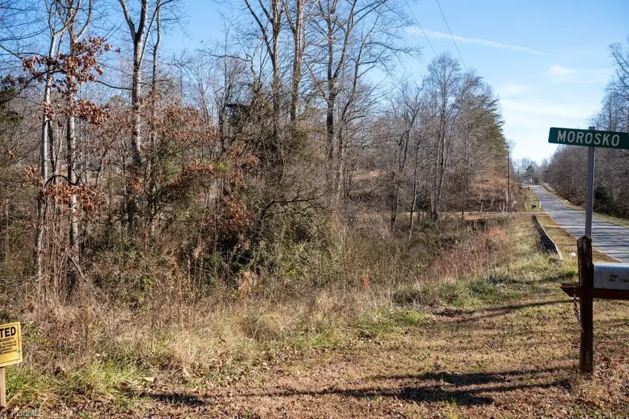 Lot 6 Morosko Lane, Pilot Mountain, NC 27041 - Image #3