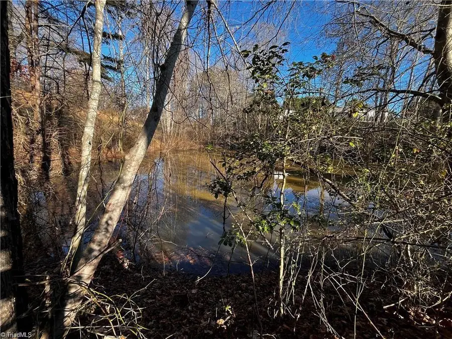 00000 Virgilina Circle, Cana, VA 24317 - Image #3