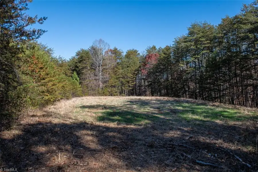 00 State Line Road, Stoneville, NC 27048 - Image #2