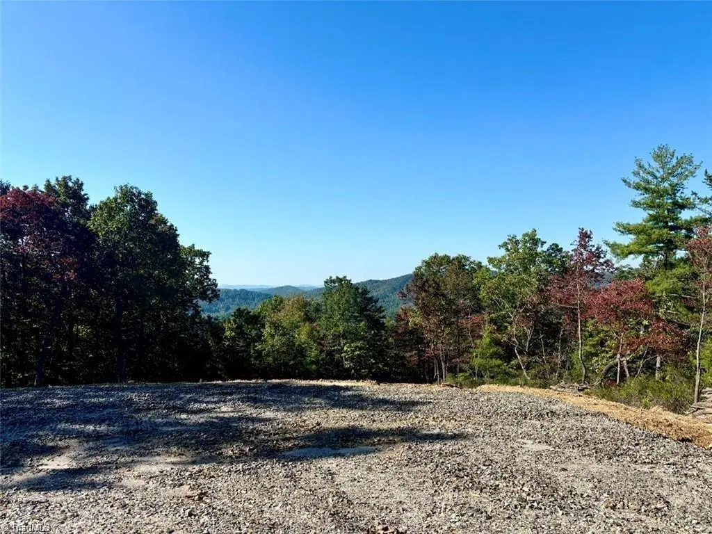 TBD Carriage House Trail, McGrady, NC 28649 - Image #1