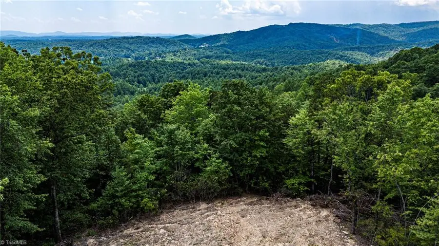 TBD Carriage House Trail, McGrady, NC 28649 - #3