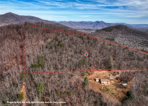 TBD Ivy Green Trail, Lowgap, NC 27024