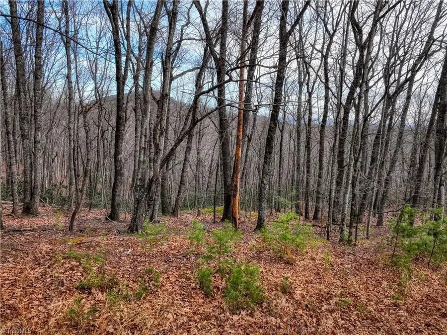 TBD Ivy Green Trail, Lowgap, NC 27024 - Image #2