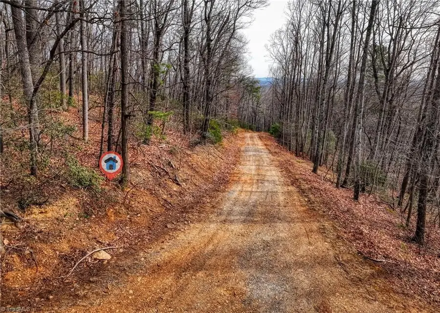 TBD Ivy Green Trail, Lowgap, NC 27024 - Image #3