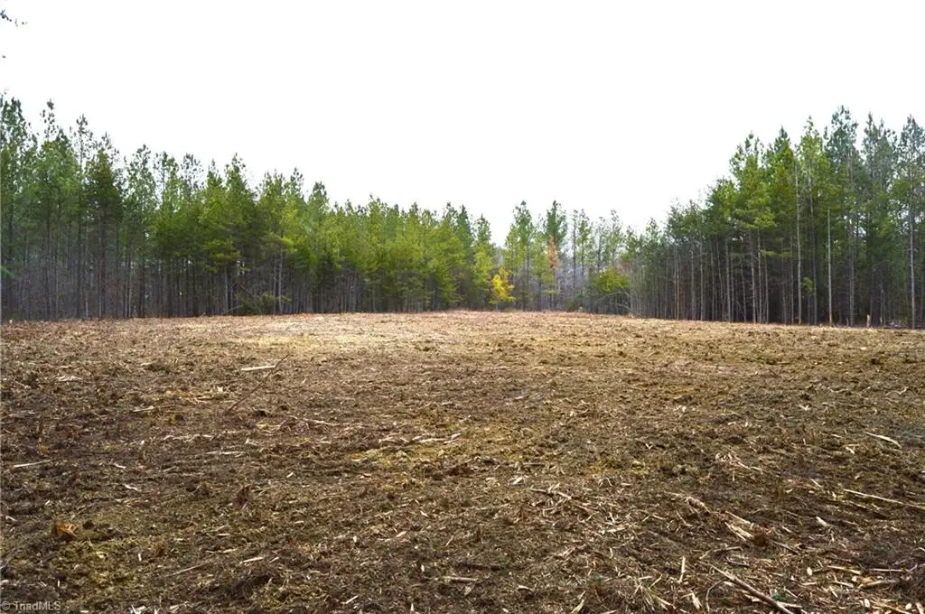 182 Dibrell Road, Pelham, NC 27311 - Image #1