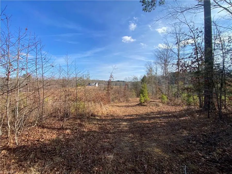 0 Johnny Shaw Road, Oakland, NC 27599 - Image #3