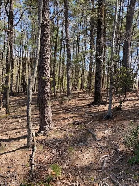 00 Angle Street, Purlear, NC 28665 - Image #2