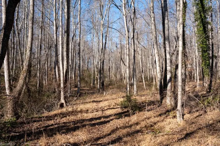 Lot 5 Morosko Lane, Pilot Mountain, NC 27041 - Image #3