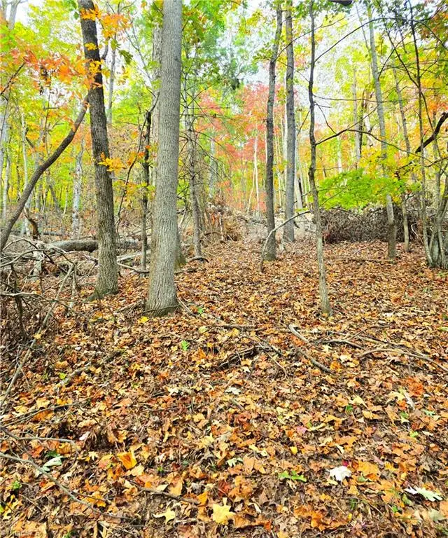 000 Mertie Road, Millers Creek, NC 28651 - Image #2