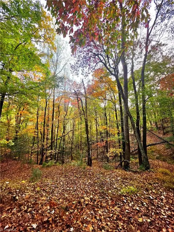 000 Mertie Road, Millers Creek, NC 28651 - Image #3