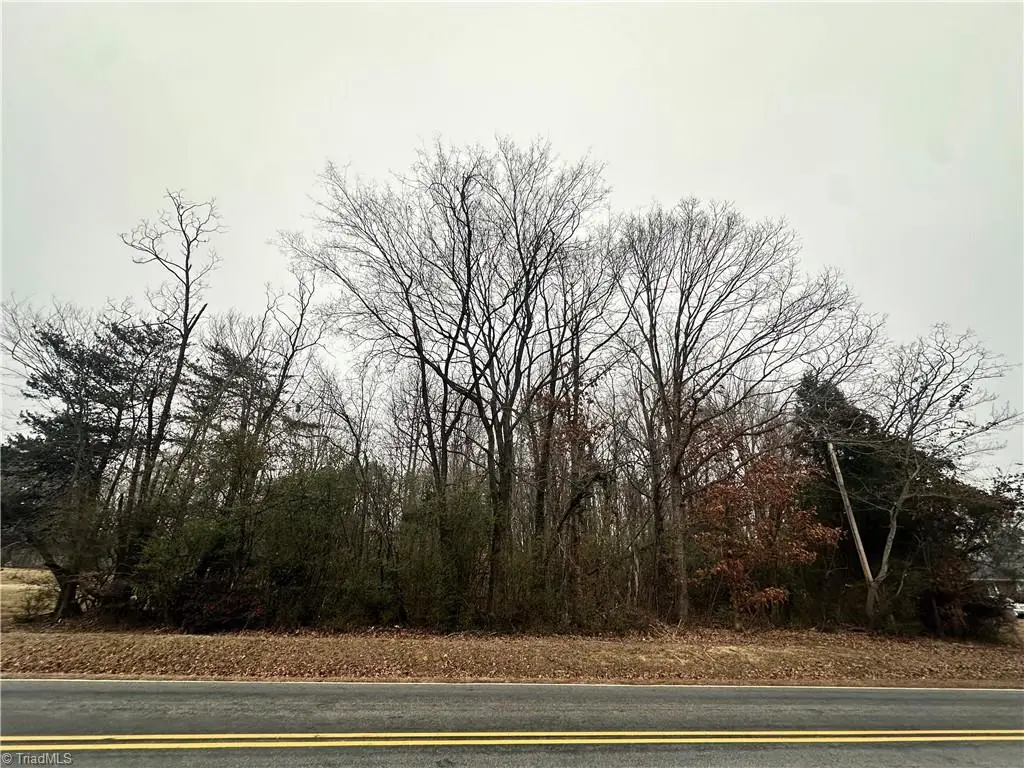 00 Priddy Loop, Stoneville, NC 27048 - #1