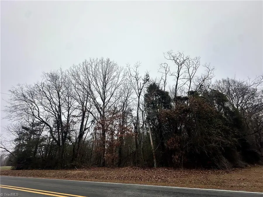 00 Priddy Loop, Stoneville, NC 27048 - #3