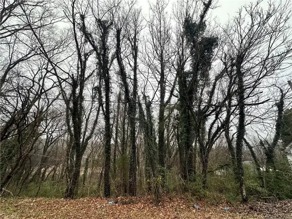 00 Short Morgan Street, Eden, NC 27288