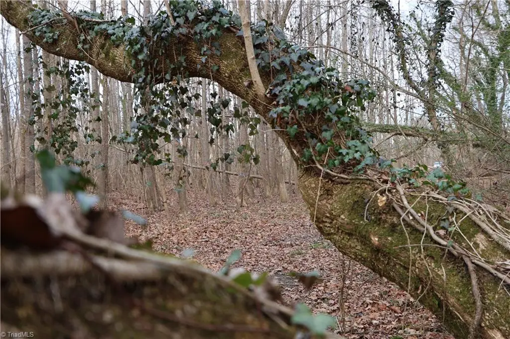 226 Hamburg Street, Mount Airy, NC 27030 - Image #1