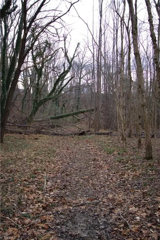 226 Hamburg Street, Mount Airy, NC 27030 - Image #3