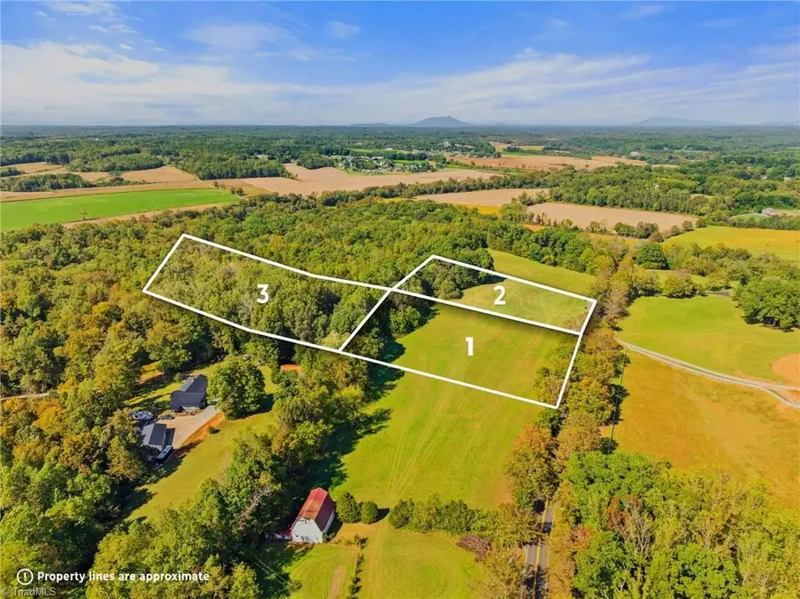 8112 Hilltop Farms Drive, Lewisville, NC 27023 - Image #2