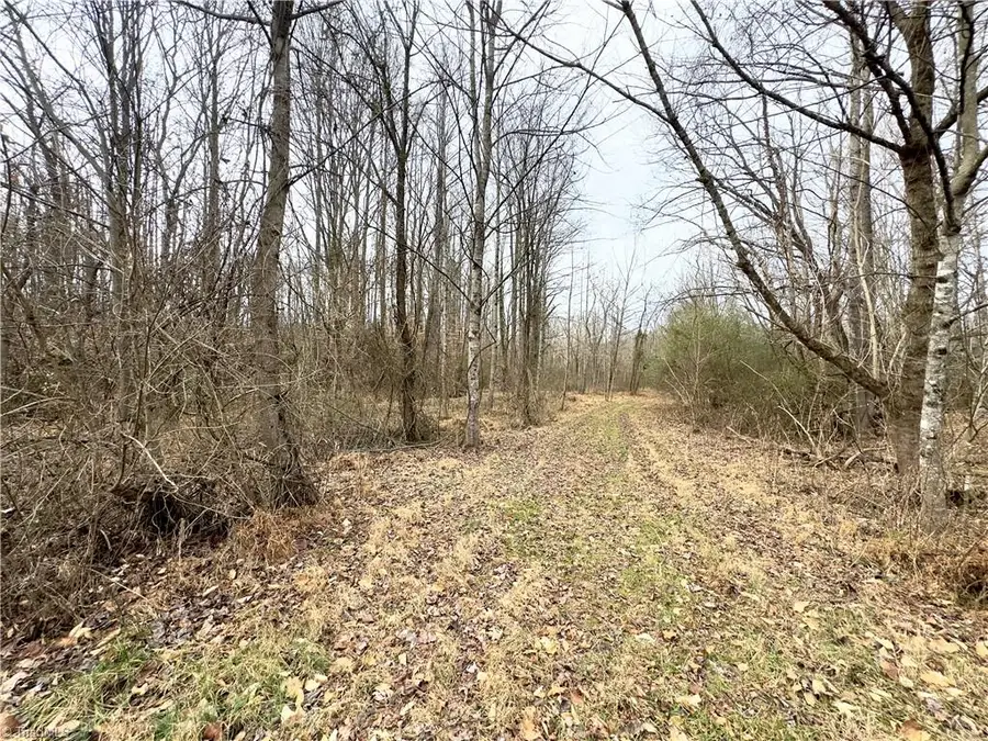 TBD Pardue Street, Jonesville, NC 28642 - Image #2