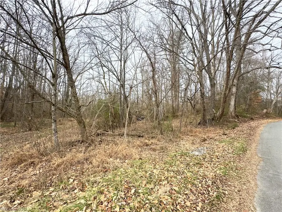 TBD Pardue Street, Jonesville, NC 28642 - Image #3