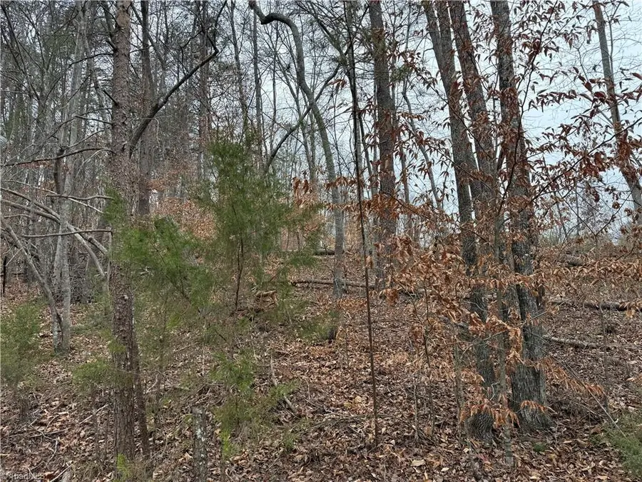 Lot 40 Creekside Way Road, Pinnacle, NC 27043 - Image #2