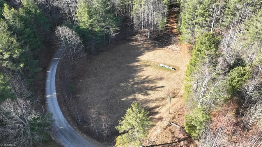 TBD Big Ivy Road, Purlear, NC 28665 - #2