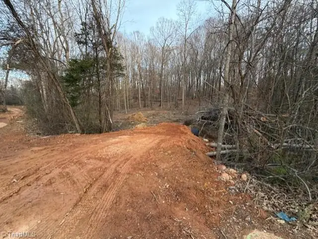 0 Booker T Womble Road, Randleman, NC 27317 - Image #3